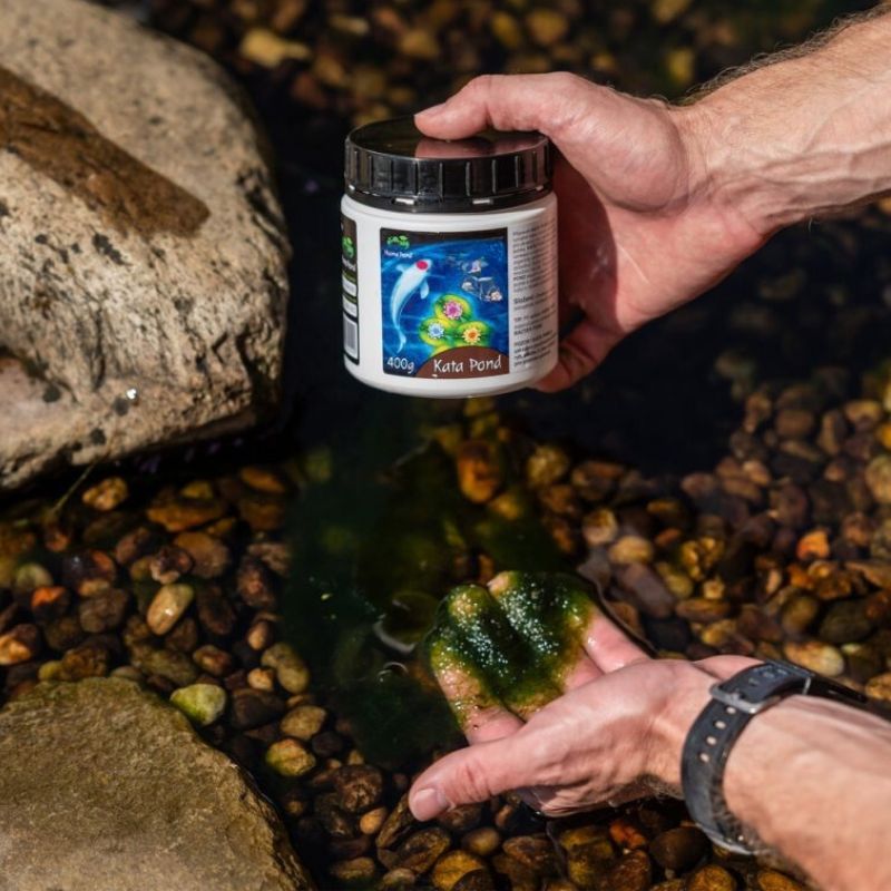 Kata Pond 400 g